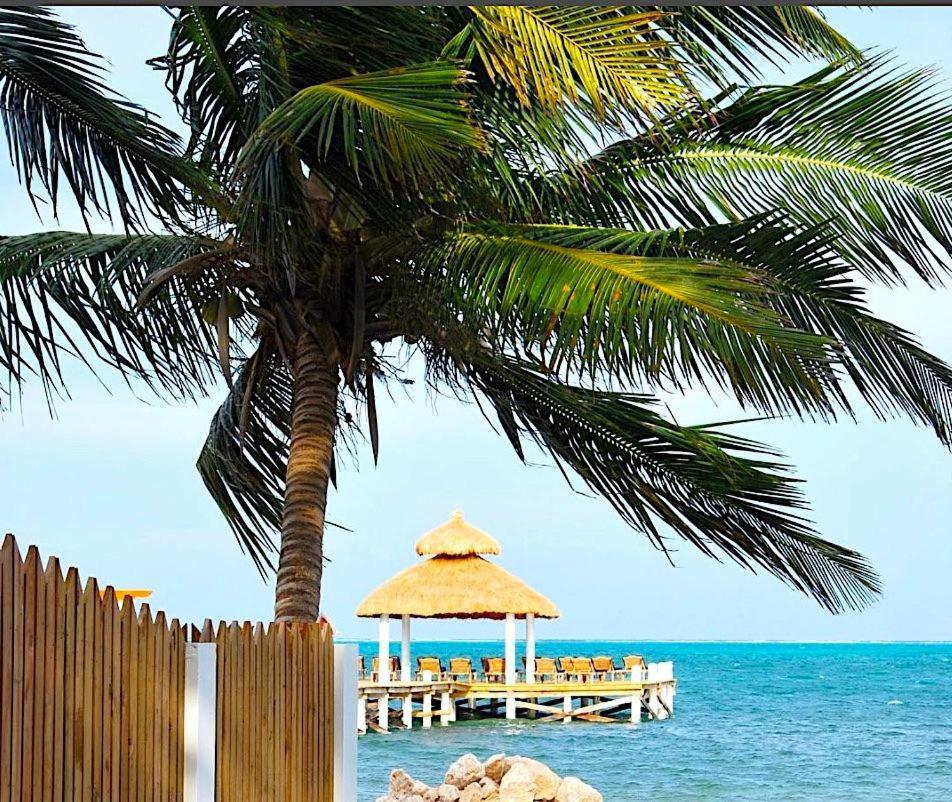 Velento Oceanfront #2 Villa Caye Caulker Eksteriør bilde